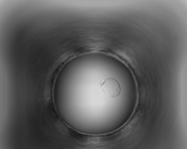 X0000088411211200705291442