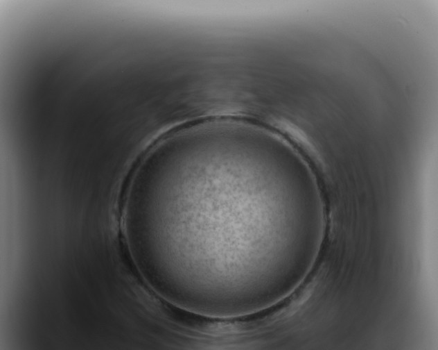 X0000088411212200705291442