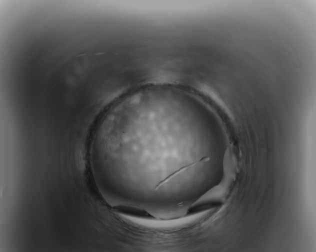 X0000088411213200705291442