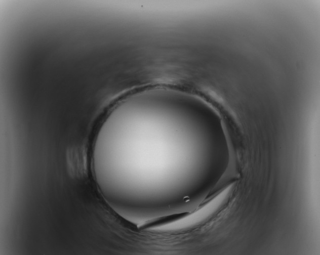 X0000088411214200705291442