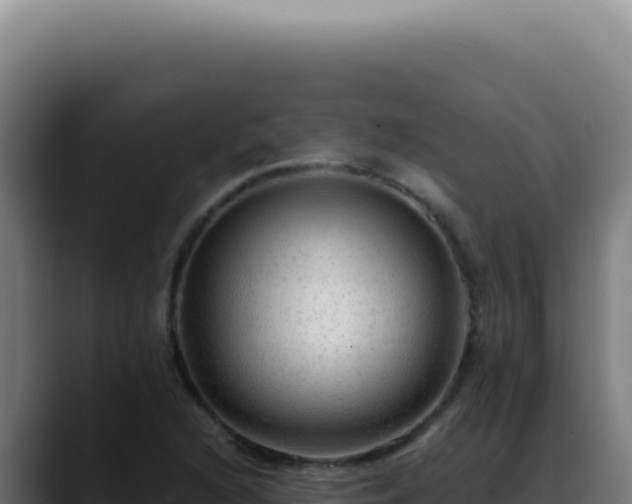 X0000088411216200705291442