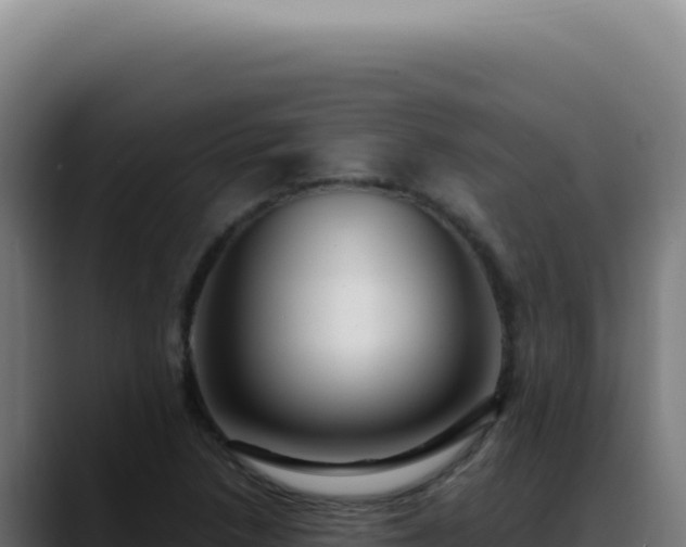 X0000088411218200705291442