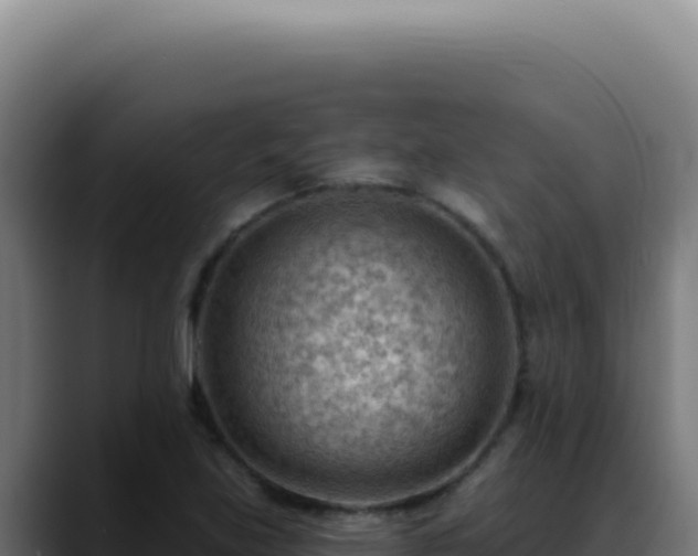 X0000088411219200705291442