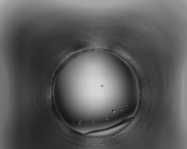 X0000088411220200705291442