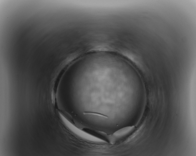 X0000088411221200705291442