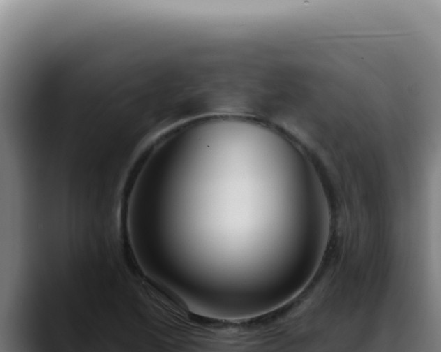 X0000088411222200705291442