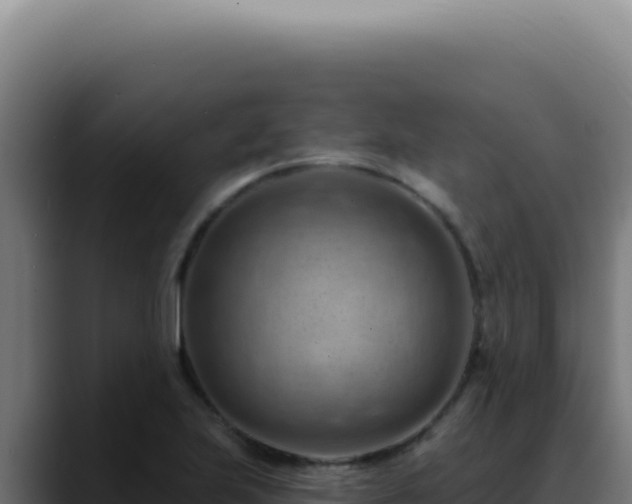 X0000088411223200705291442
