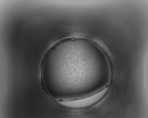X0000088411224200705291442