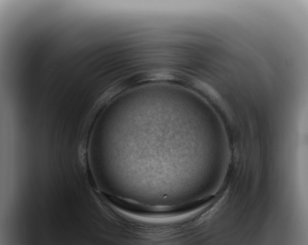 X0000088411225200705291442
