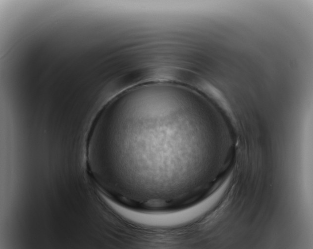 X0000088411226200705291442
