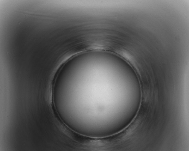 X0000088411227200705291442