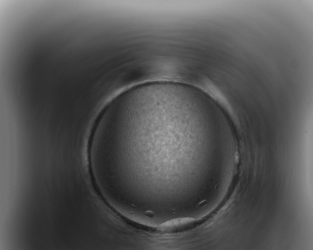 X0000088411230200705291442