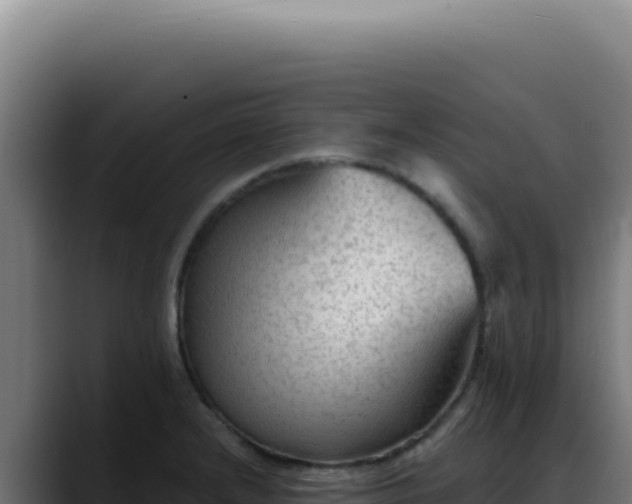 X0000088411232200705291442