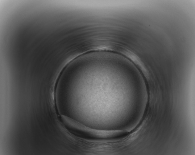 X0000088411234200705291442