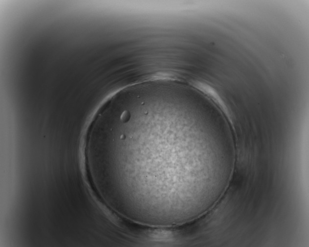 X0000088411235200705291442