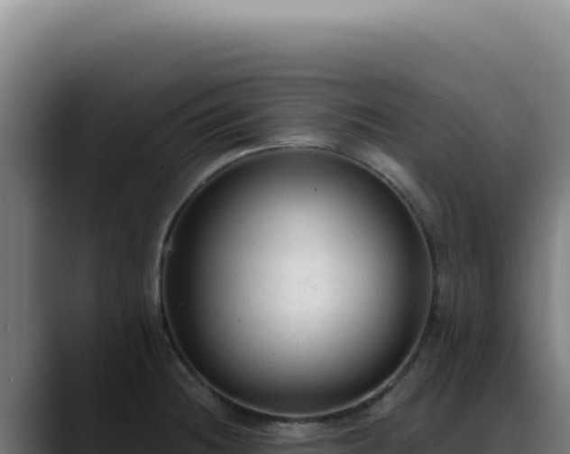 X0000088411236200705291442