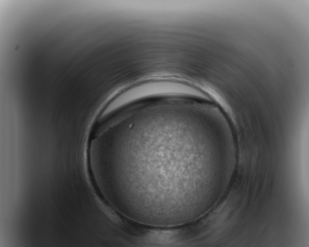 X0000088411237200705291442