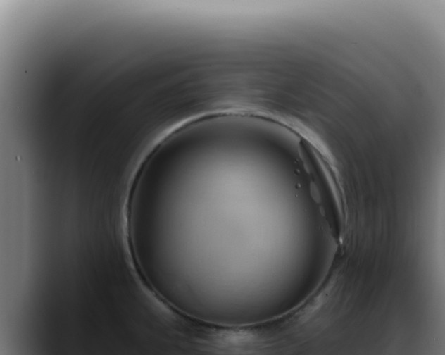 X0000088411239200705291442