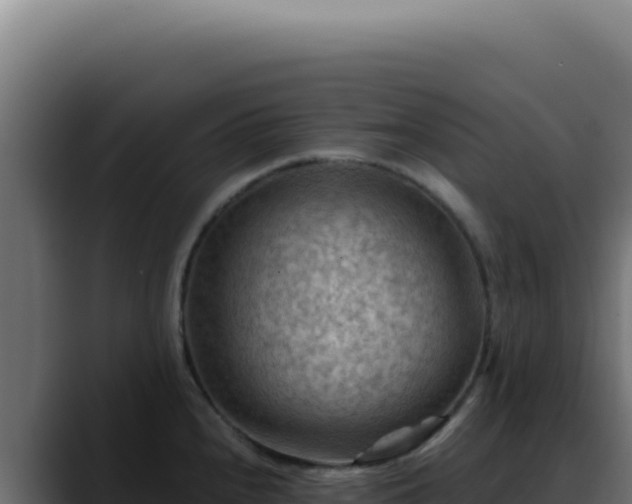 X0000088411240200705291442