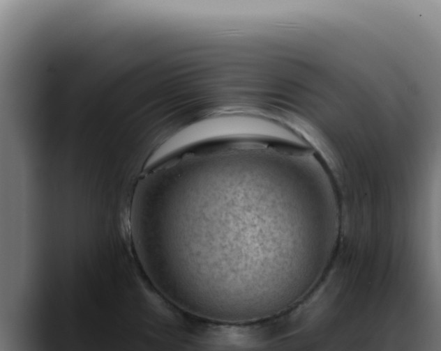 X0000088411241200705291442