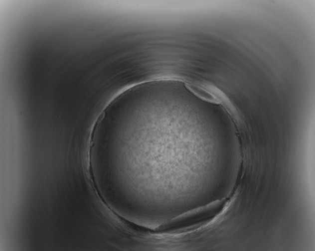 X0000088411244200705291443