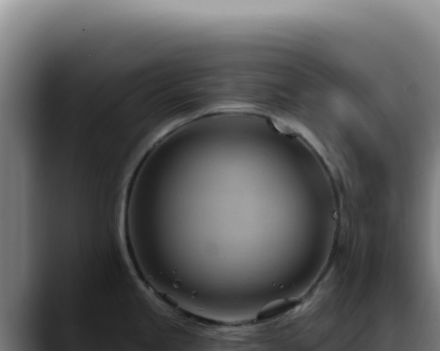 X0000088411245200705291443