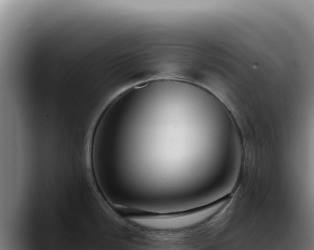 X0000088411246200705291443