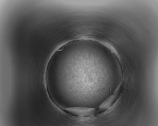X0000088411247200705291443