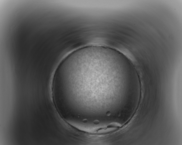 X0000088411248200705291443