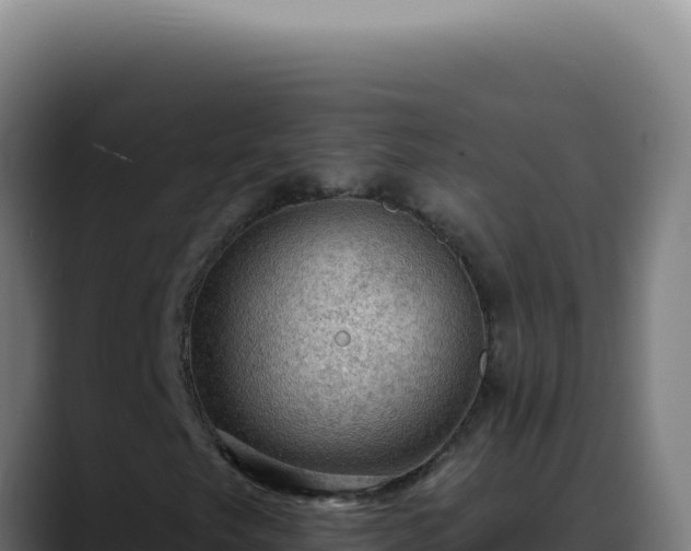 X0000088411249200705291442