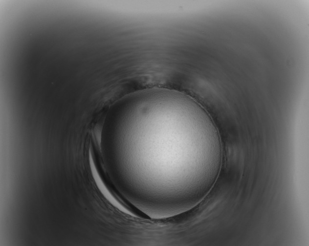 X0000088411250200705291442