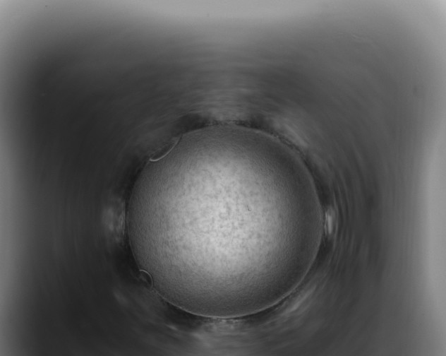 X0000088411251200705291442