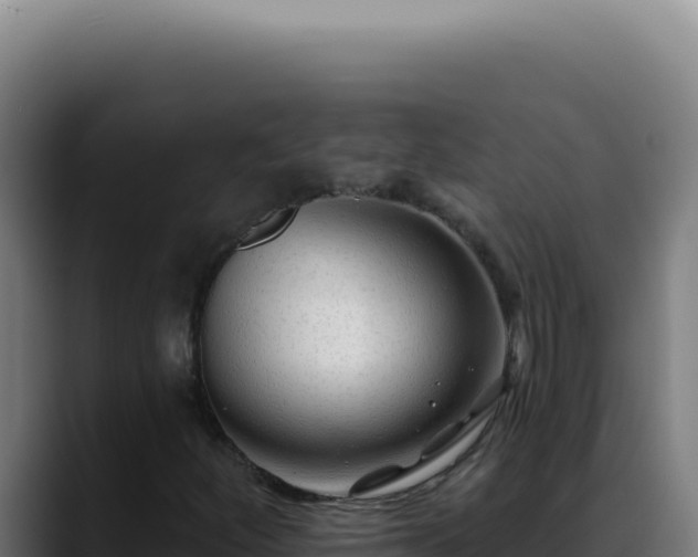 X0000088411252200705291442