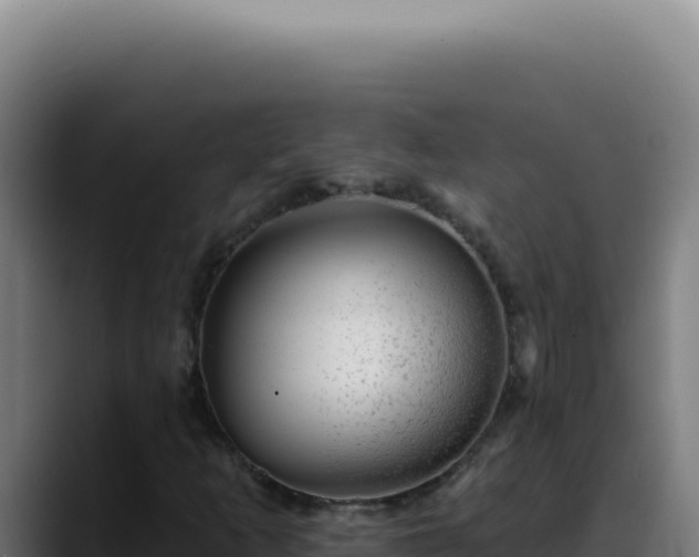 X0000088411253200705291442