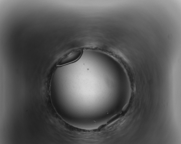X0000088411256200705291442
