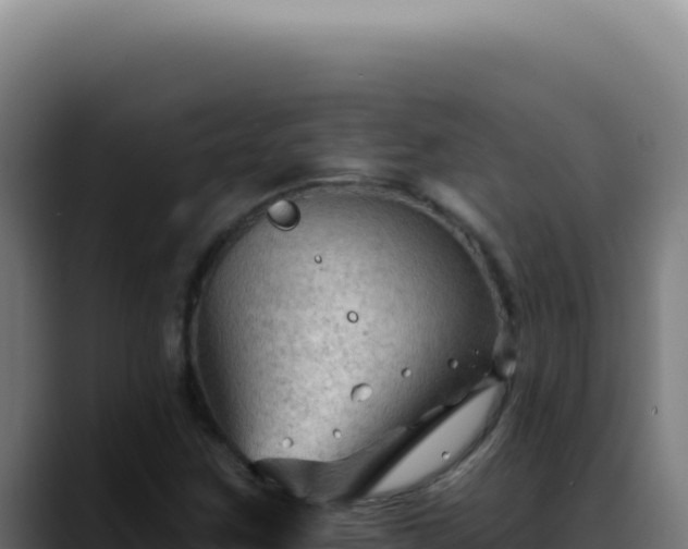 X0000088411259200705291442