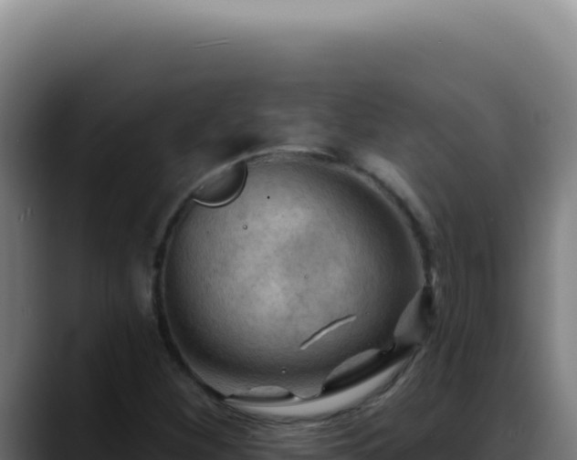 X0000088411260200705291442