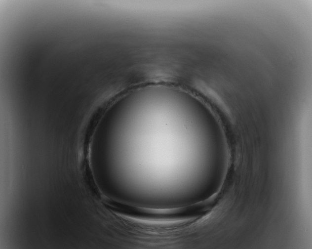 X0000088411261200705291442