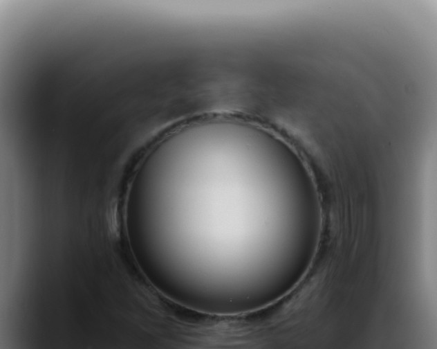 X0000088411262200705291442