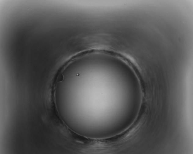 X0000088411263200705291442