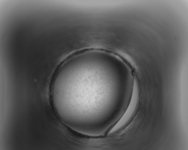 X0000088411264200705291442