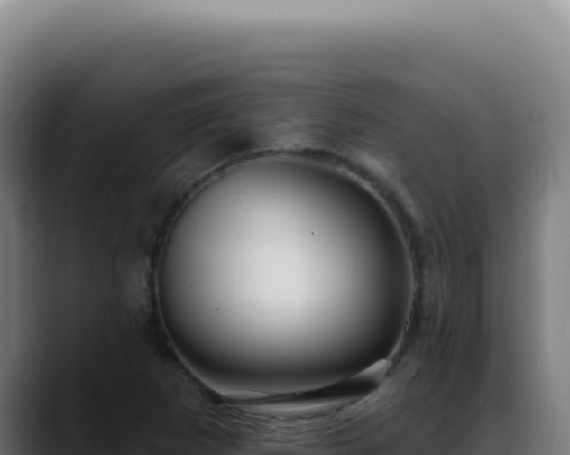 X0000088411265200705291442