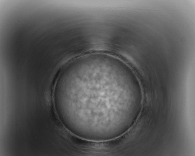 X0000088411266200705291442