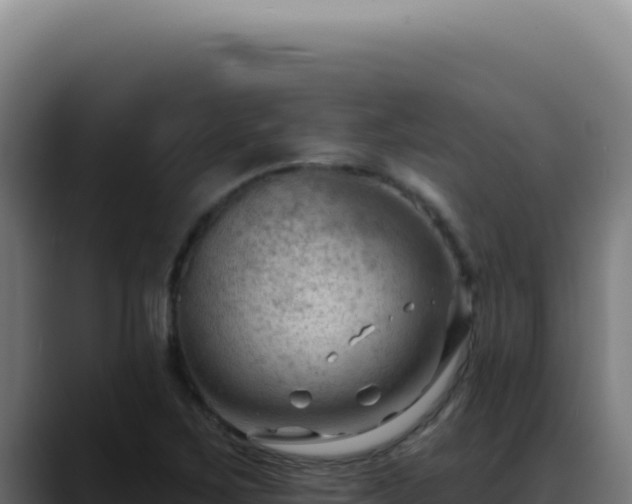X0000088411267200705291442