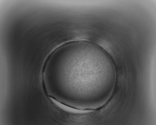X0000088411268200705291442