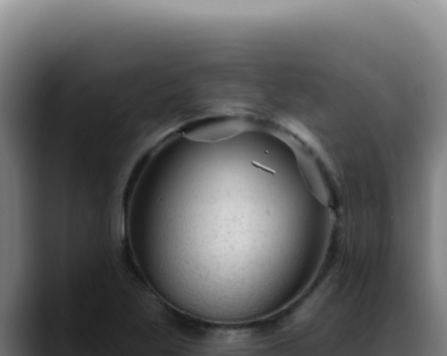 X0000088411269200705291442