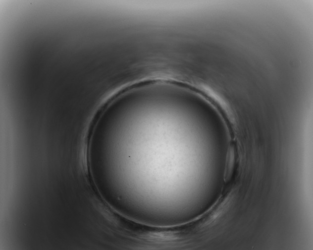 X0000088411272200705291442