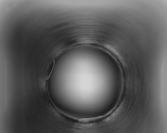 X0000088411273200705291442