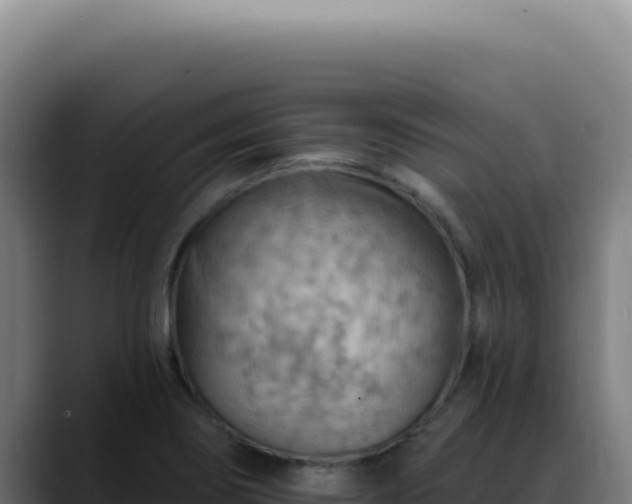 X0000088411274200705291442