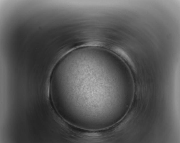 X0000088411276200705291442